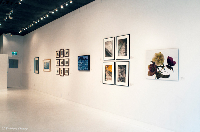 David Haughton at Visual Space Gallery