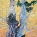 Ancient Cedars II 2026