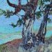 Portrait Ancient Sitka Spruce II