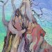 Portrait - Ancient Cedar XX